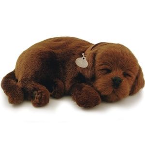 NIB Chocolate Lab Perfect Petzzz